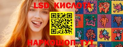 бошки Дмитров