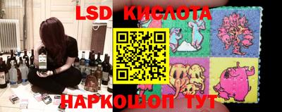 бошки Дмитров