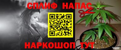 бошки Дмитров