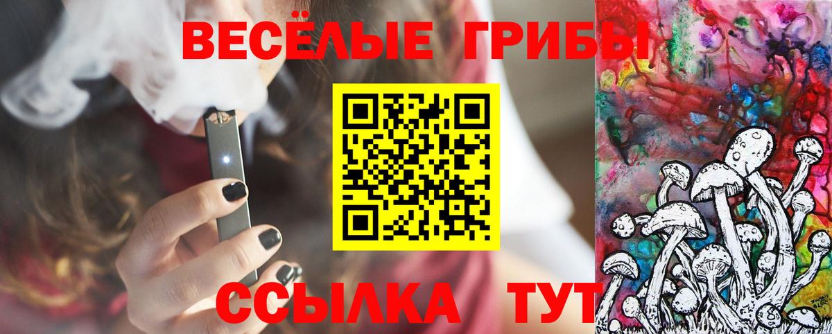Галлюциногенные грибы Psilocybine cubensis Домодедово