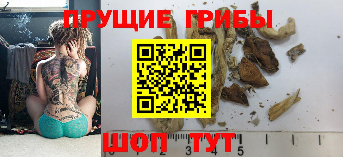 Домодедово  Псилоцибиновые грибы мицелий  Галлюциногенные грибы GOLDEN TEACHER  Вход с VPN 