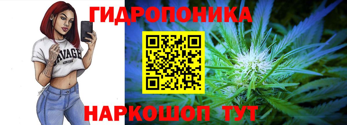 Домодедово  МАРИХУАНА LSD WEED  Вход с VPN  Каннабис семена  Марихуана ГИДРОПОН  Канабис сатива 